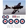 De Havilland Chipmunk decals set