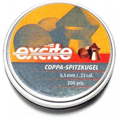 H&N Coppa Point AIRGUN PELLETS .22