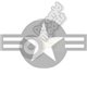 USA Star & Bar - Grey & White