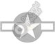 USA Star & Bar - Grey & White
