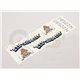 Nose Art - "Come Fly With Me" L/R Handed Decal