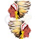 Indian Chief's Head