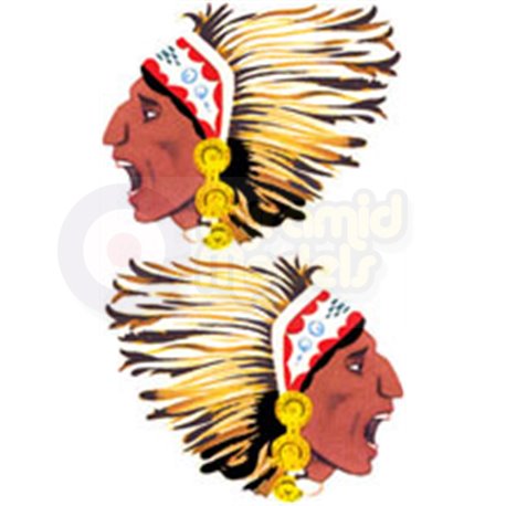 Indian Chief's Head