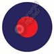 RAF - British Roundel - Type B