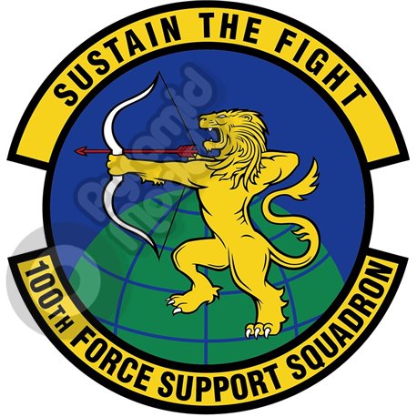 100th Force Support squadron emblem Self adhesive Decal