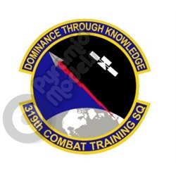 319th Combat Training squadron emblem Self adhesive Decal
