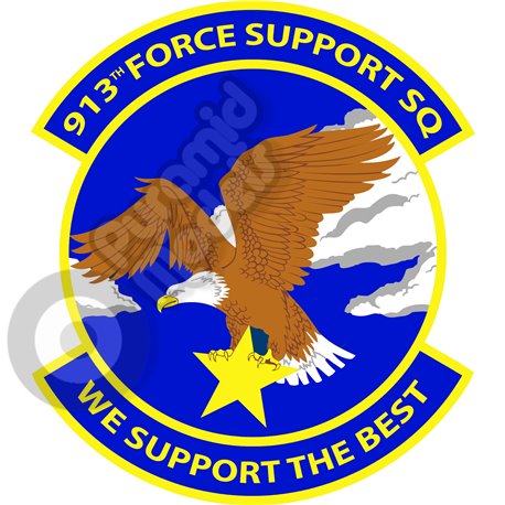 913th Foprce Support Squadron emblem Self adhesive Decal