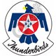 Thunderbirds emblem Self adhesive Decal