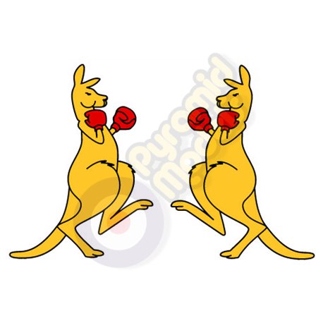 Australian Boxing Kangaroos