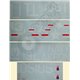 Royal Products Corp - F 8F Bearcat Waterslide Decal Set