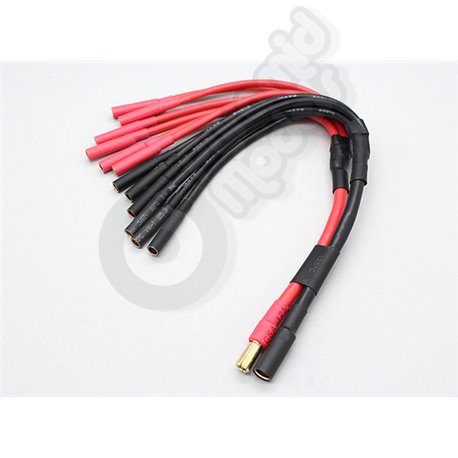 5.5mm Bullet to 6 X 4mm bullet Multistar ESC Power Breakout Cable
