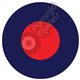 RAF - British Army Roundel