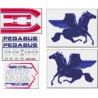 BK117 Pegasus