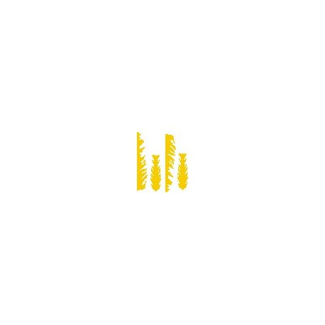 Flame Set 48 inch wingspan - YELLOW