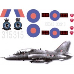1/4 Scale Hawk decal set