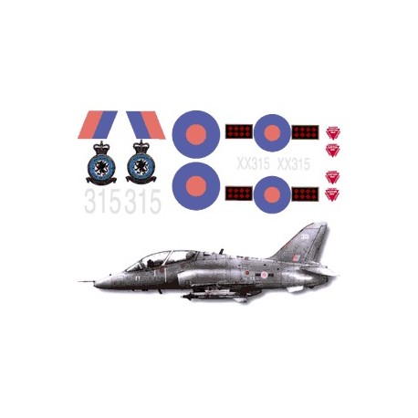 1/4 Scale Hawk decal set