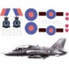 1/4 Scale Hawk decal set