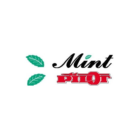 Mint Logo Computer cut vinyl set