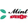 Mint Logo Computer cut vinyl set