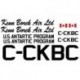 De Havilland DHC 6 Twin Otter decal  sets