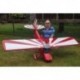 Super Decathlon Decal set