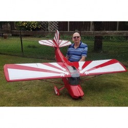 Super Decathlon Decal set