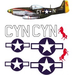 North american P51-D Decal set 2