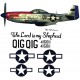 North American P51-D Decal set 10