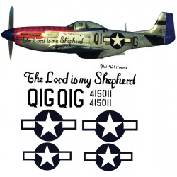 North American P51-D Decal set 10