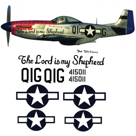 North American P51-D Decal set 10